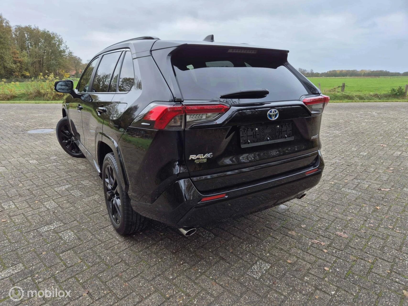 Hoofdafbeelding Toyota RAV4