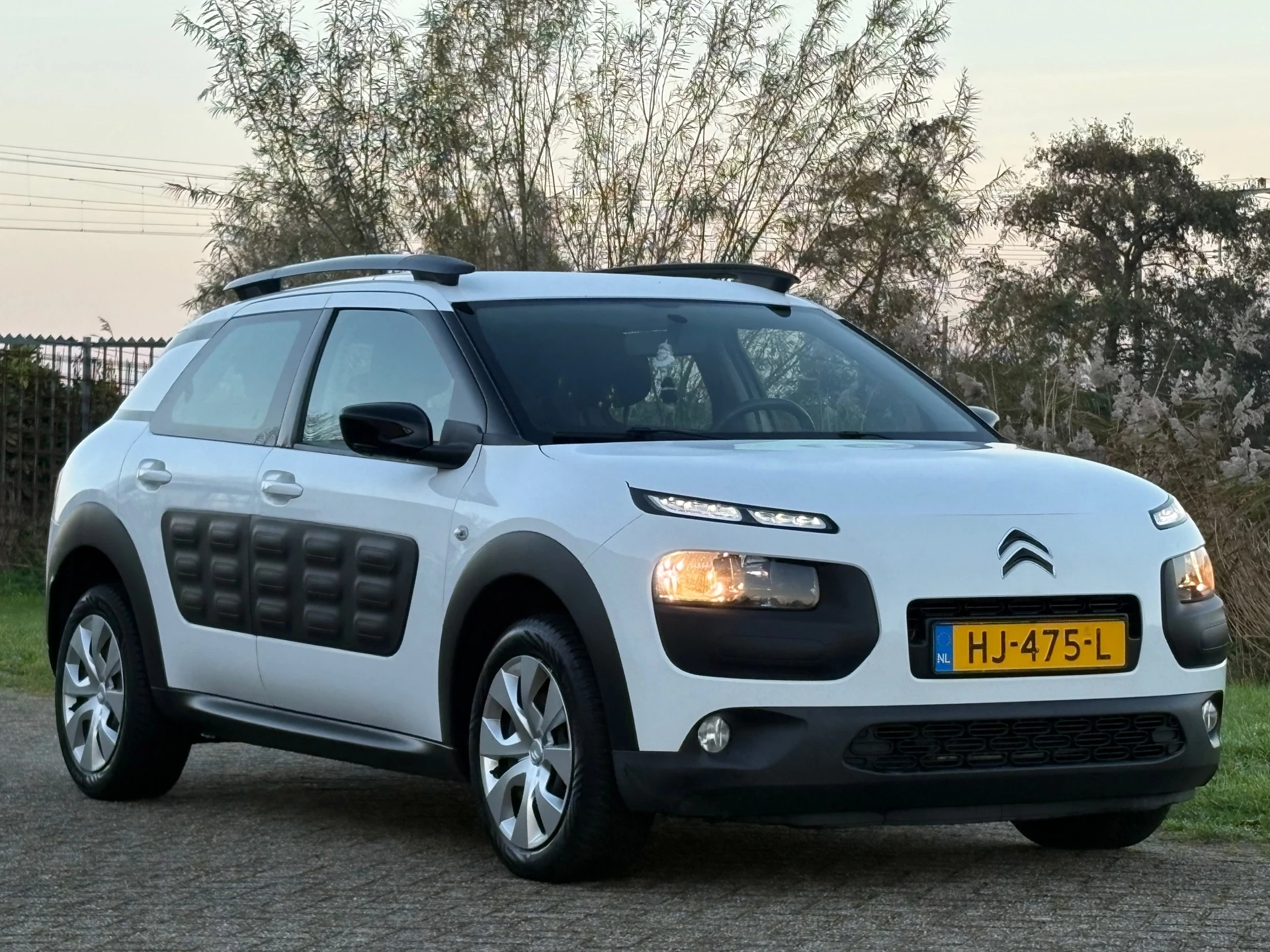 Hoofdafbeelding Citroën C4 Cactus
