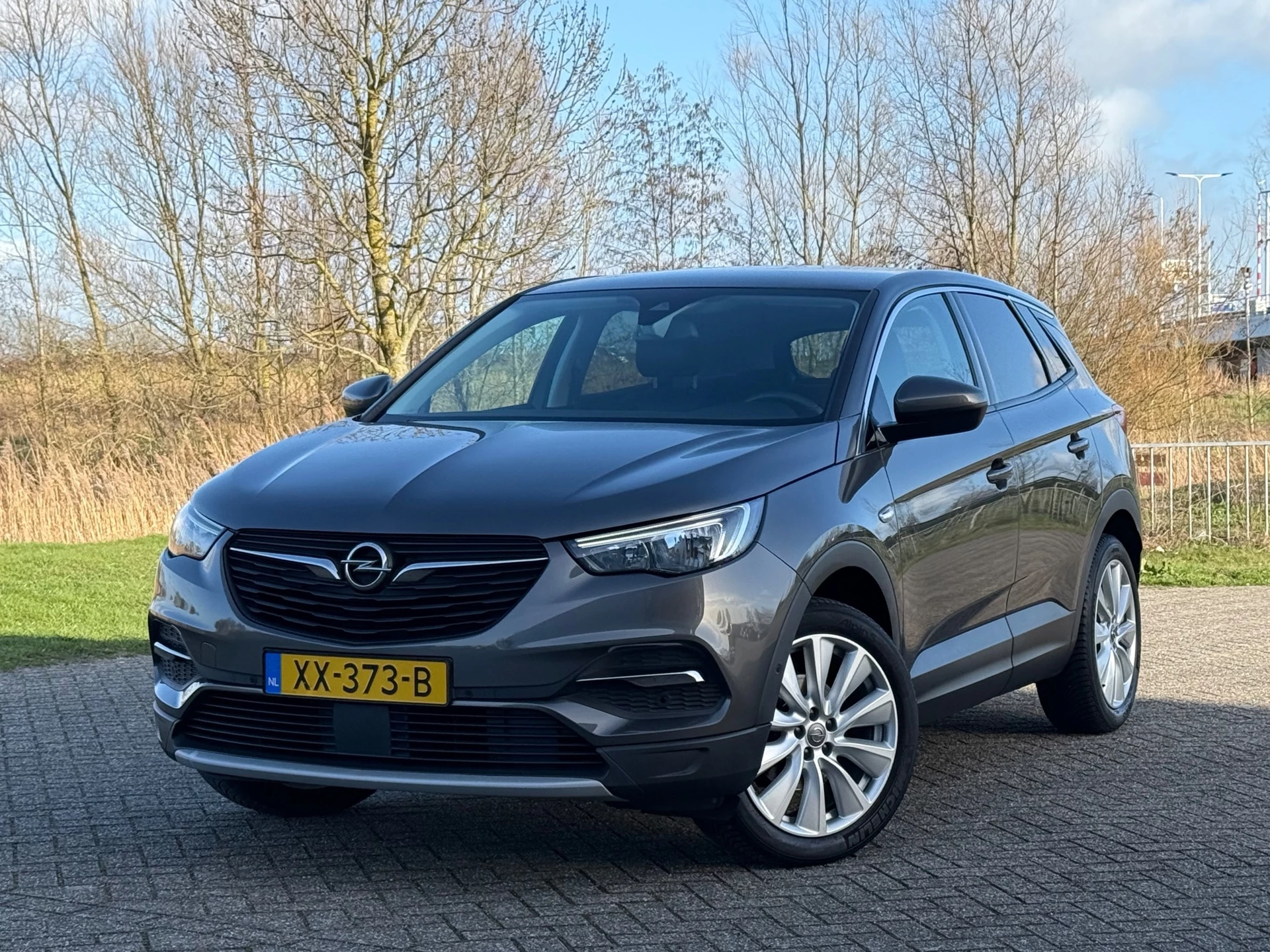 Hoofdafbeelding Opel Grandland X