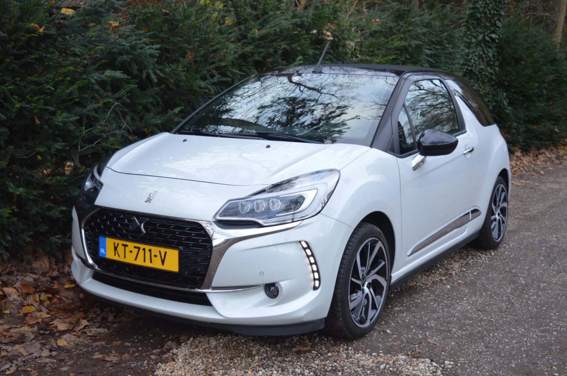 Hoofdafbeelding DS DS 3