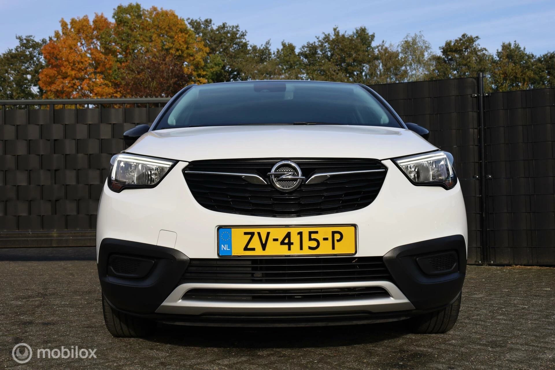 Hoofdafbeelding Opel Crossland X