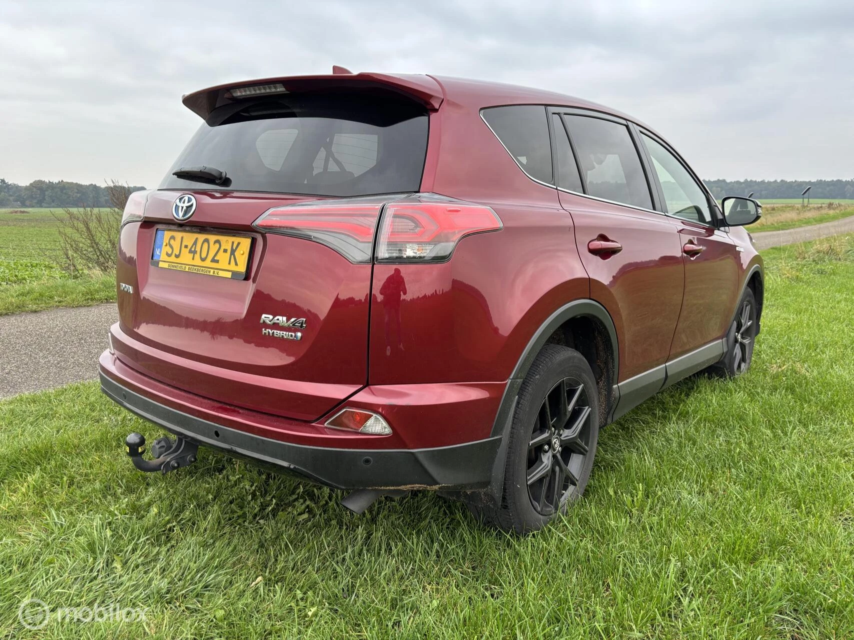 Hoofdafbeelding Toyota RAV4