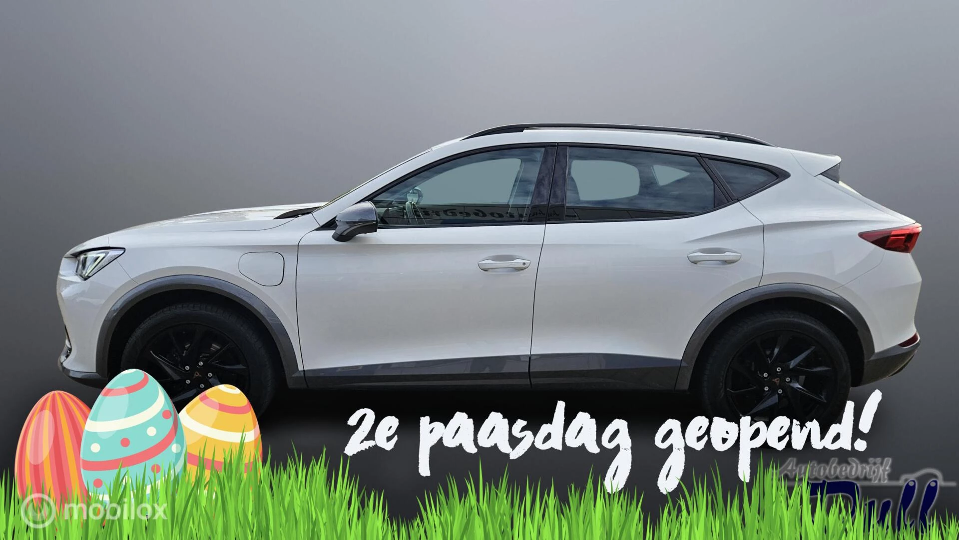 Hoofdafbeelding CUPRA Formentor