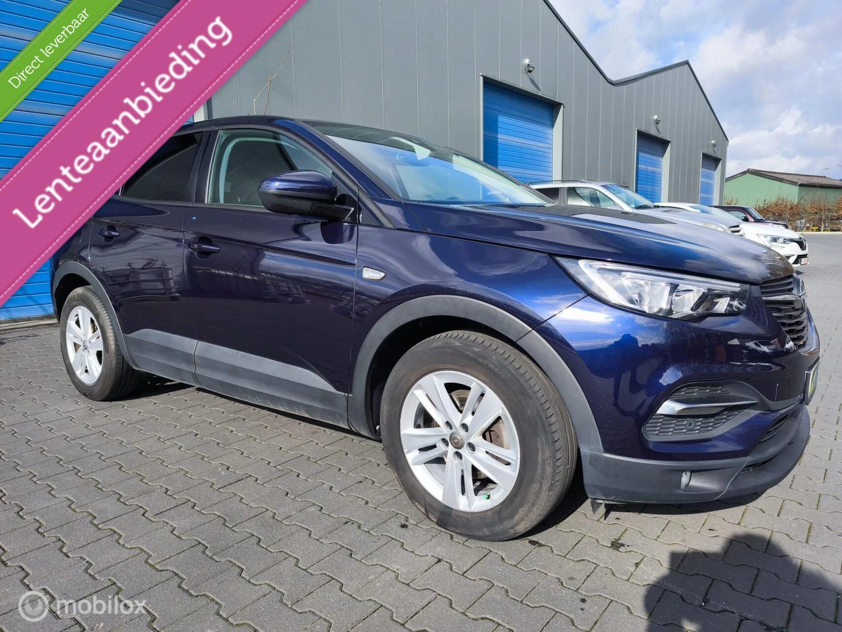 Hoofdafbeelding Opel Grandland X