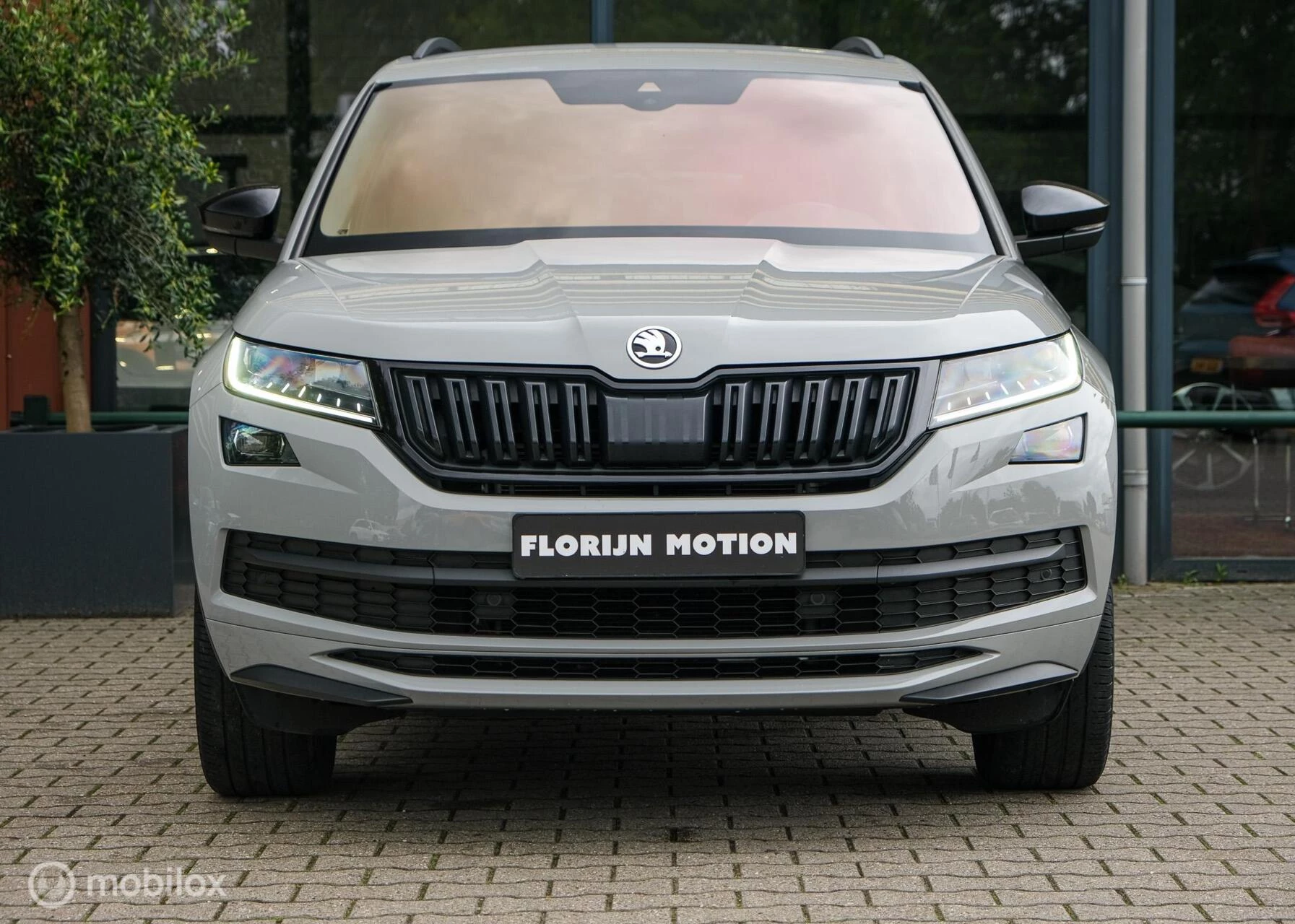 Hoofdafbeelding Škoda Kodiaq