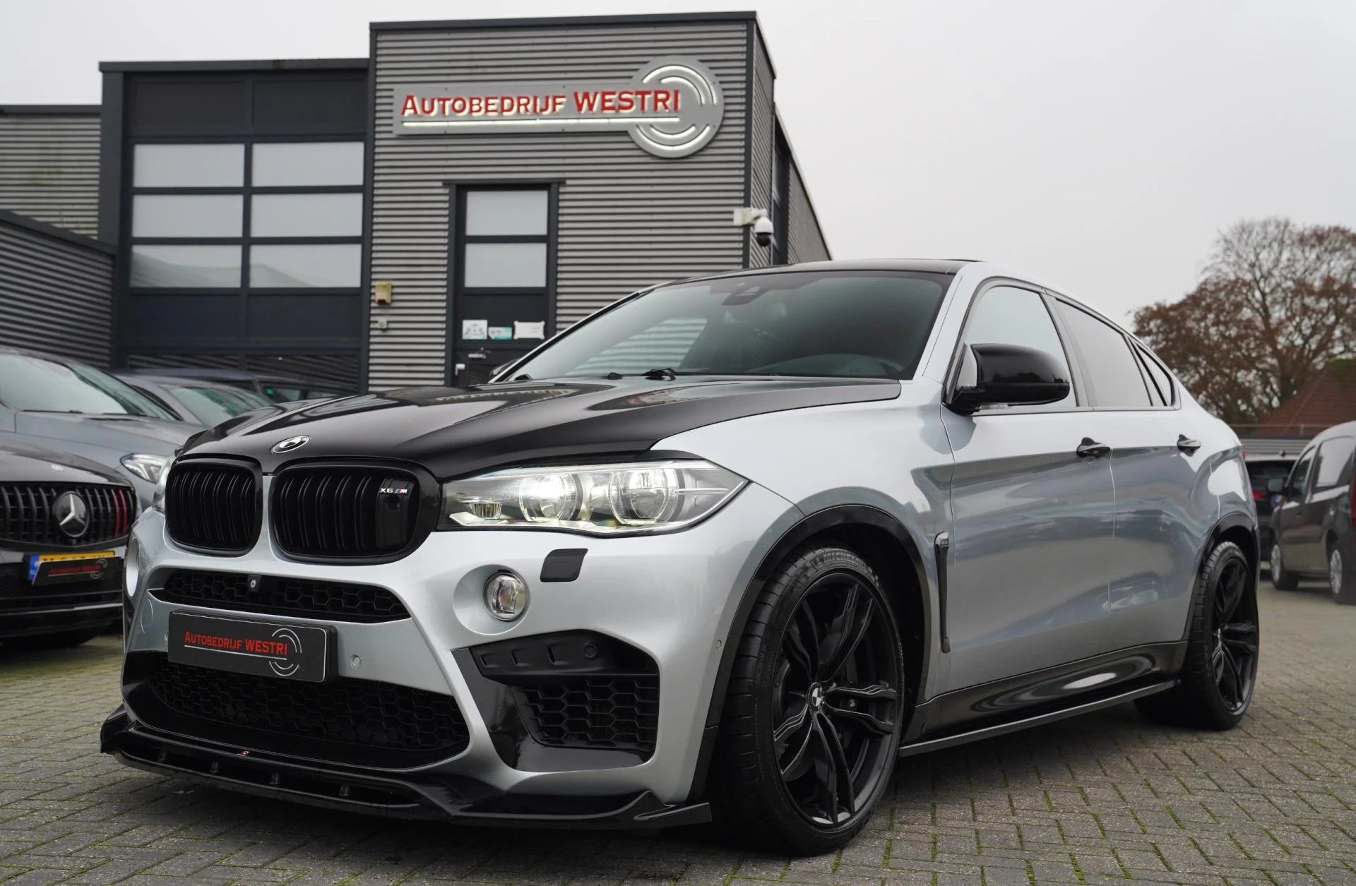 Hoofdafbeelding BMW X6