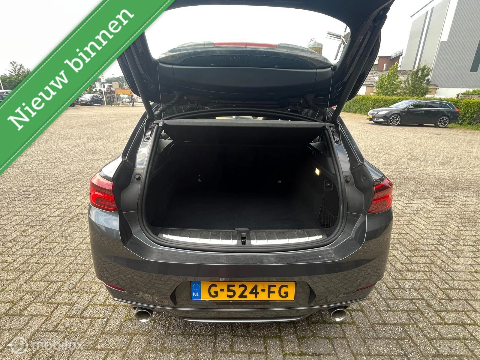 Hoofdafbeelding BMW X2