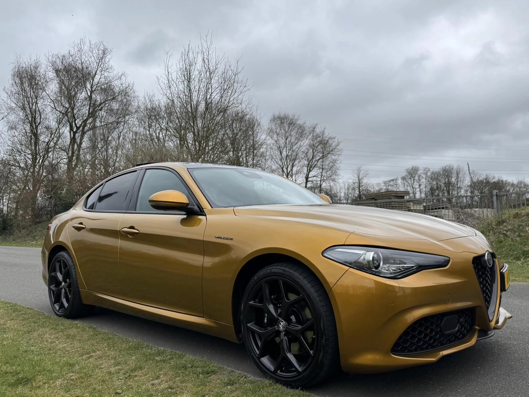 Hoofdafbeelding Alfa Romeo Giulia