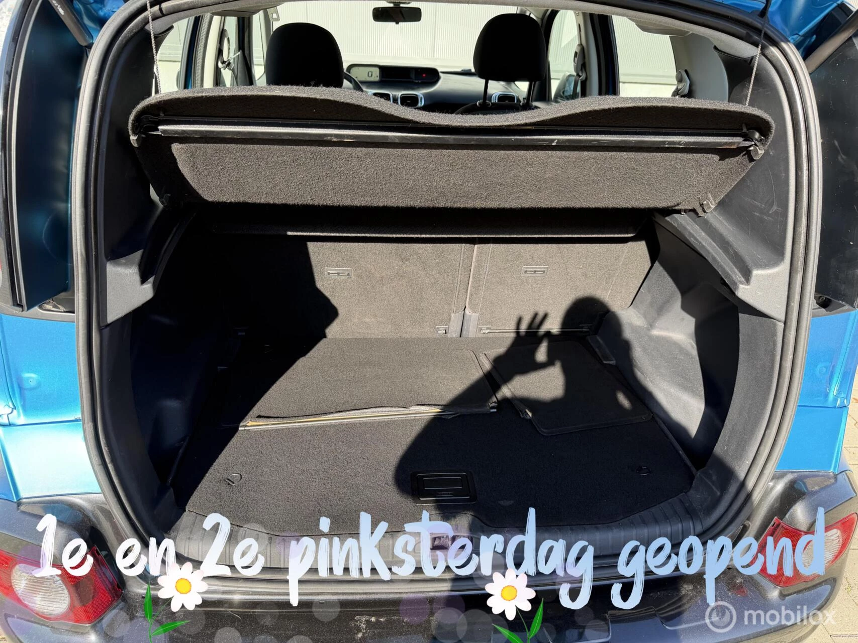 Hoofdafbeelding Citroën C3 Picasso
