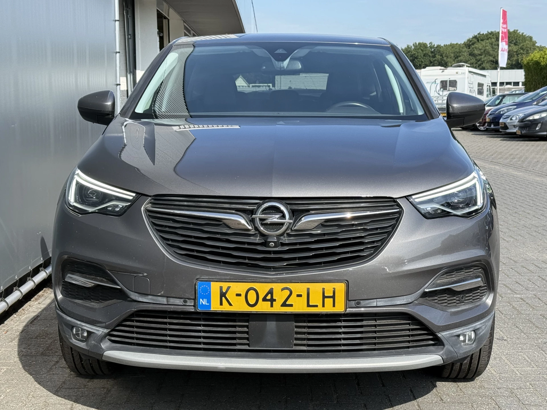 Hoofdafbeelding Opel Grandland X
