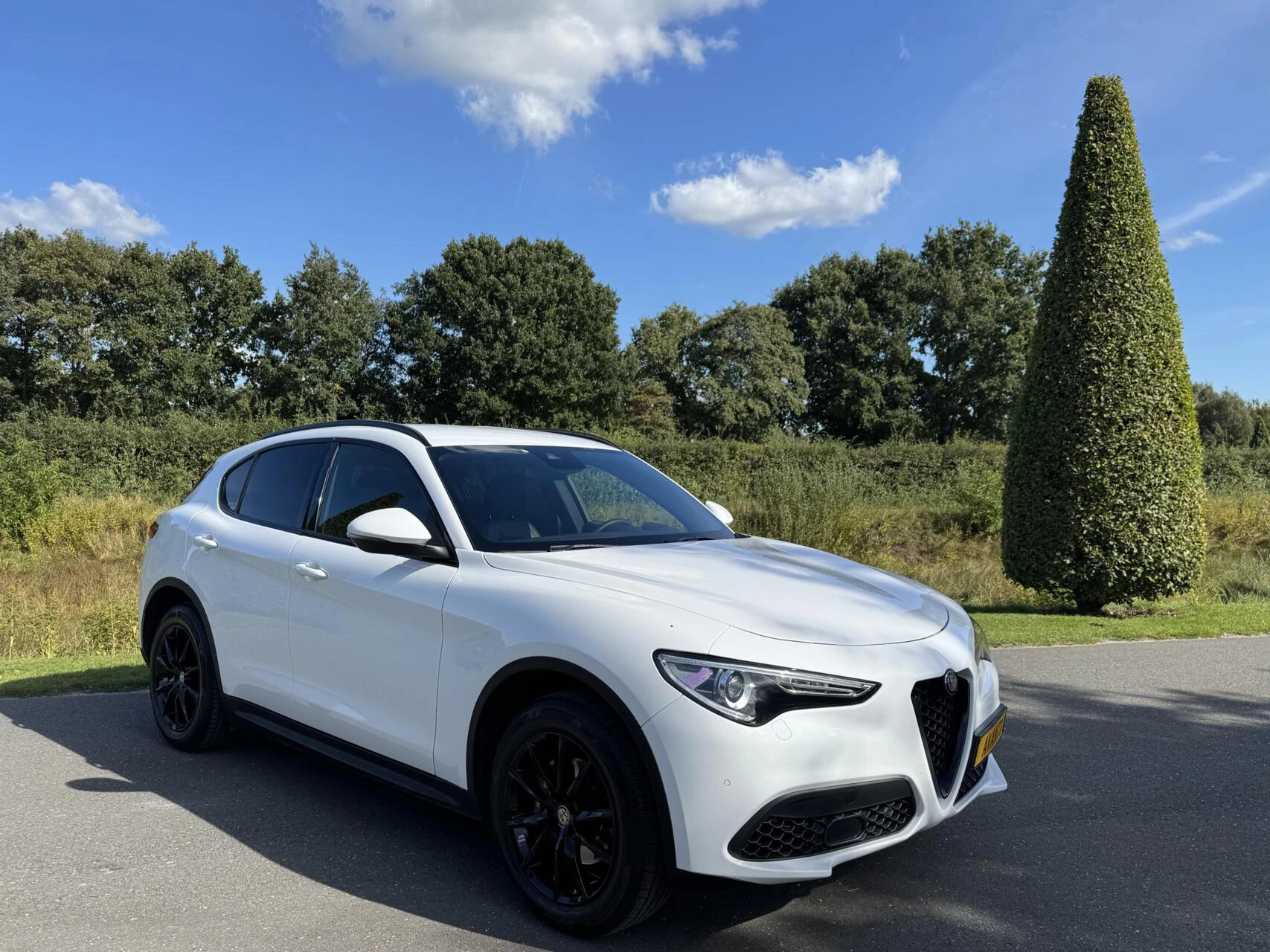 Hoofdafbeelding Alfa Romeo Stelvio