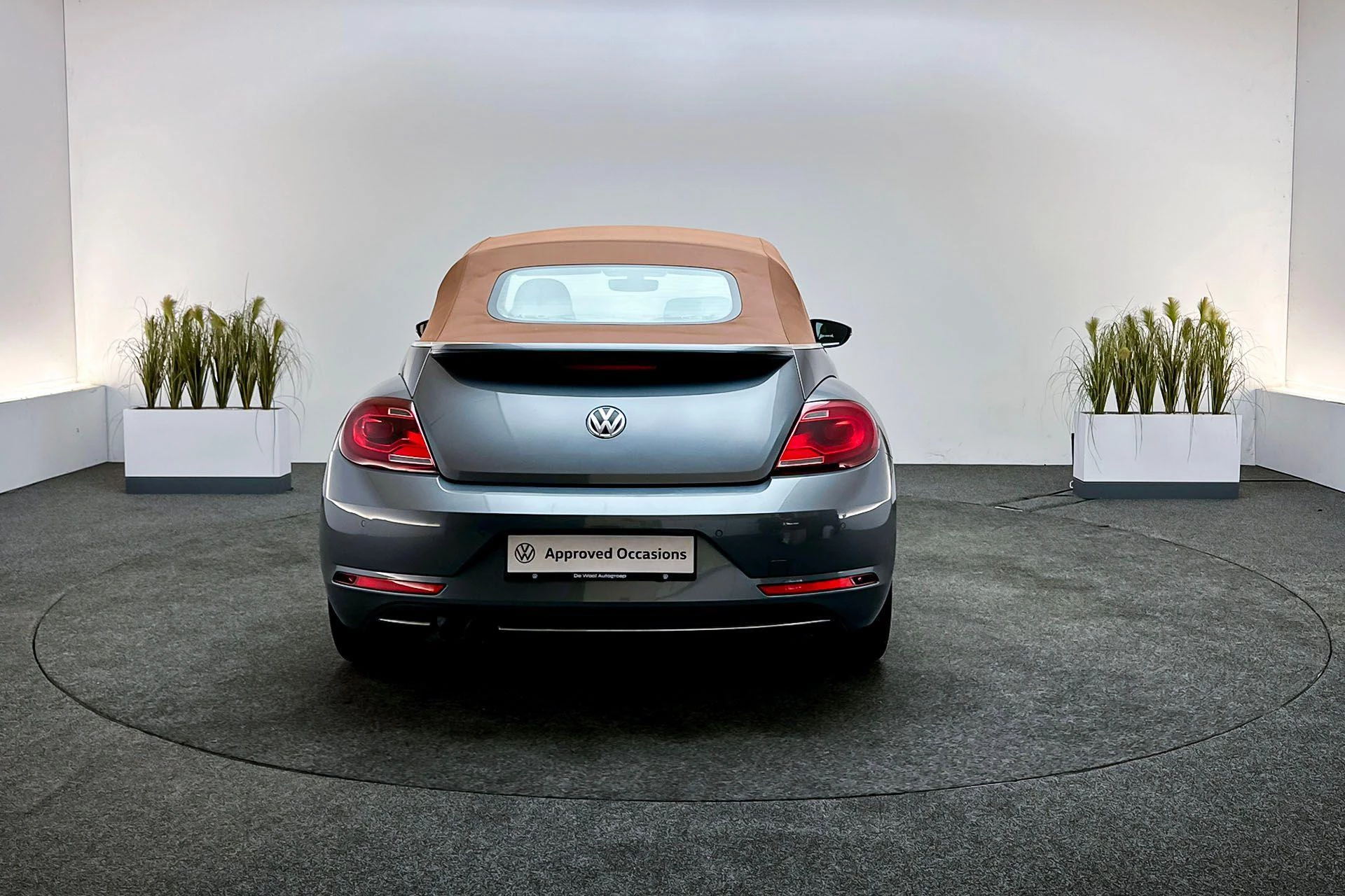 Hoofdafbeelding Volkswagen Beetle