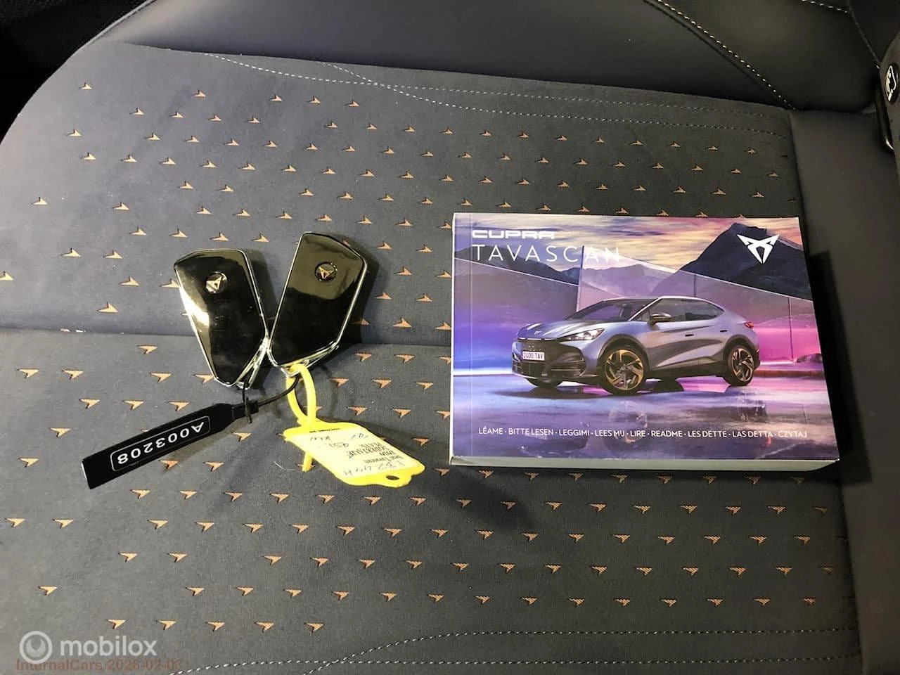 Hoofdafbeelding CUPRA Tavascan