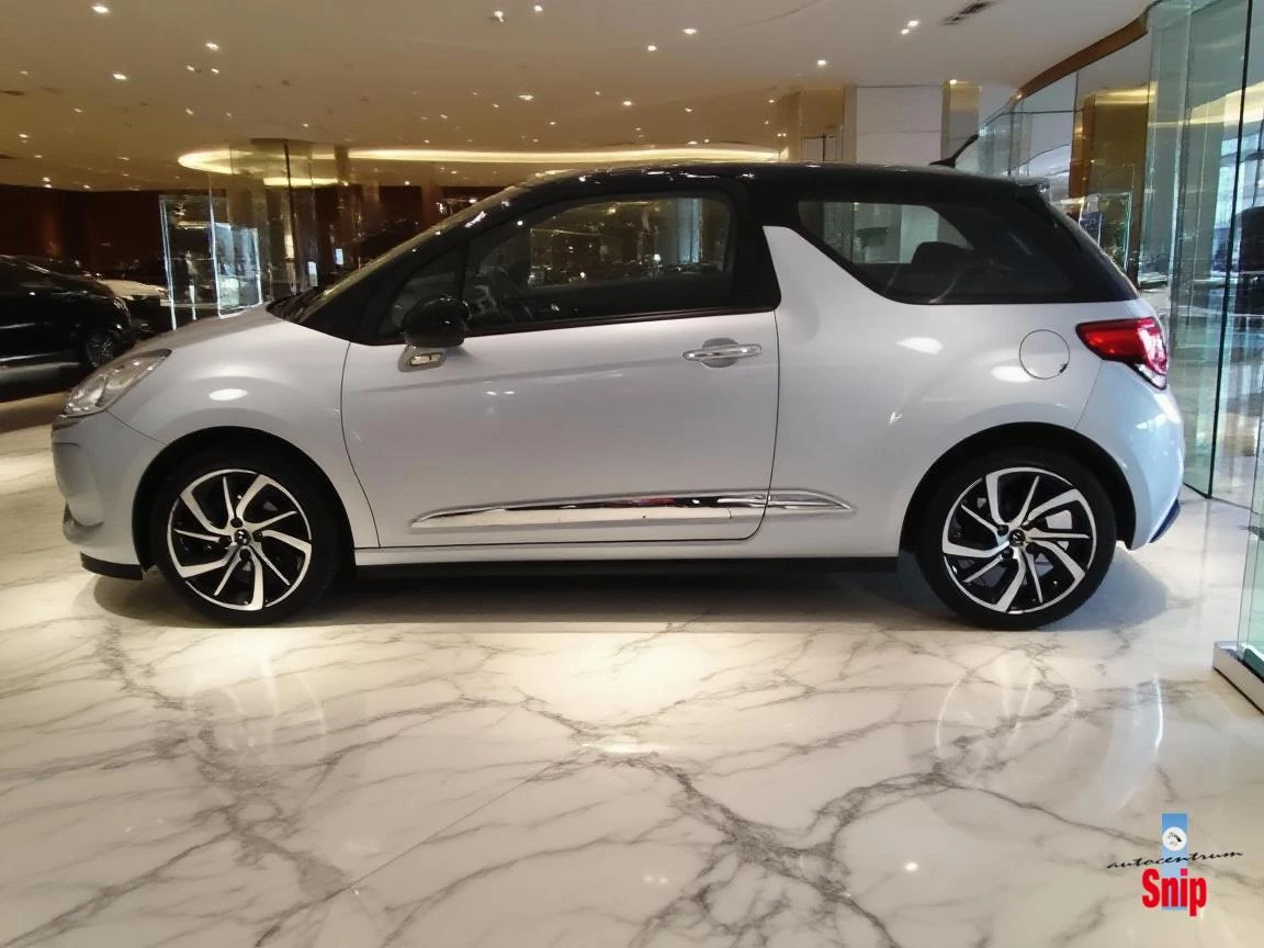 Hoofdafbeelding DS DS 3