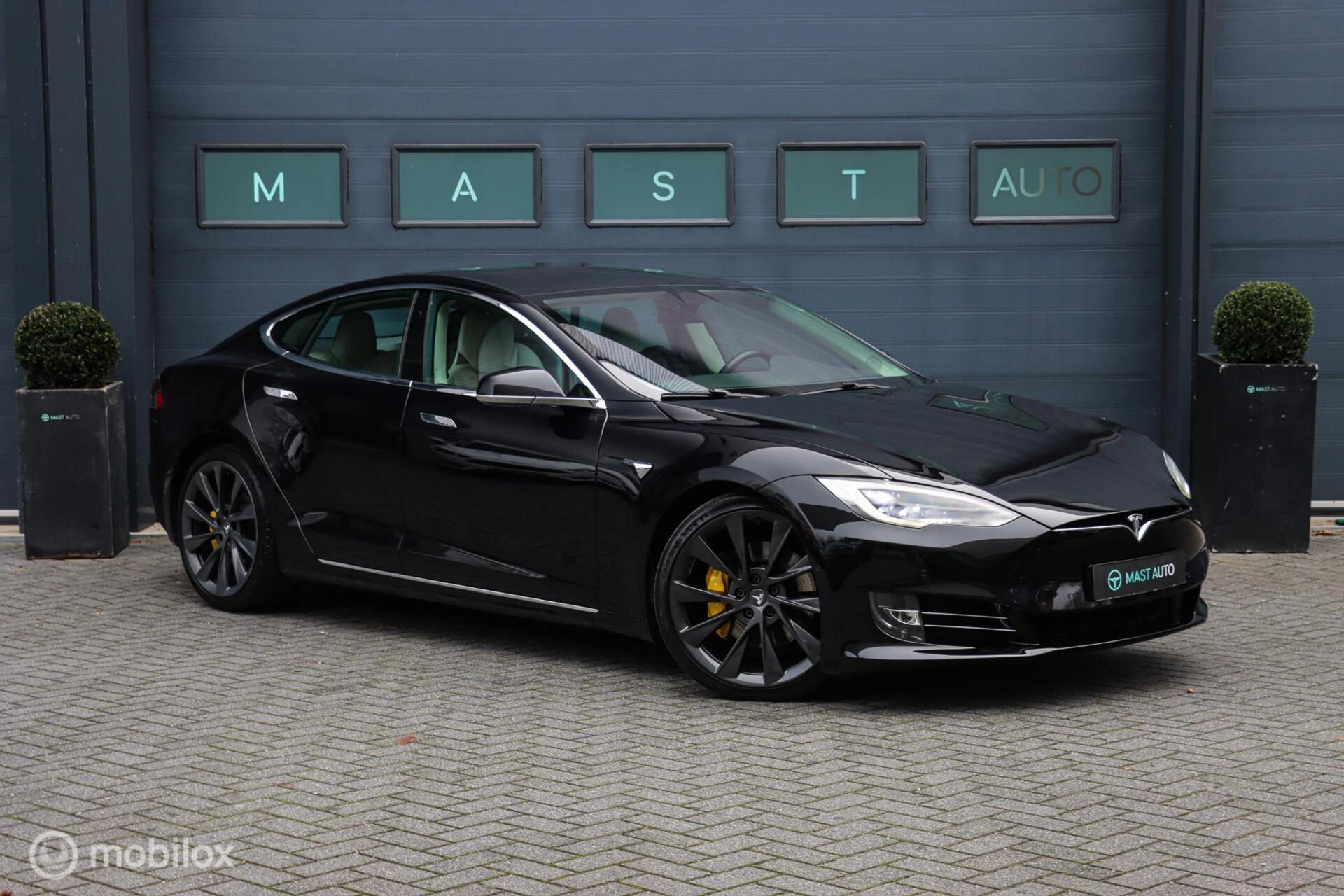 Hoofdafbeelding Tesla Model S