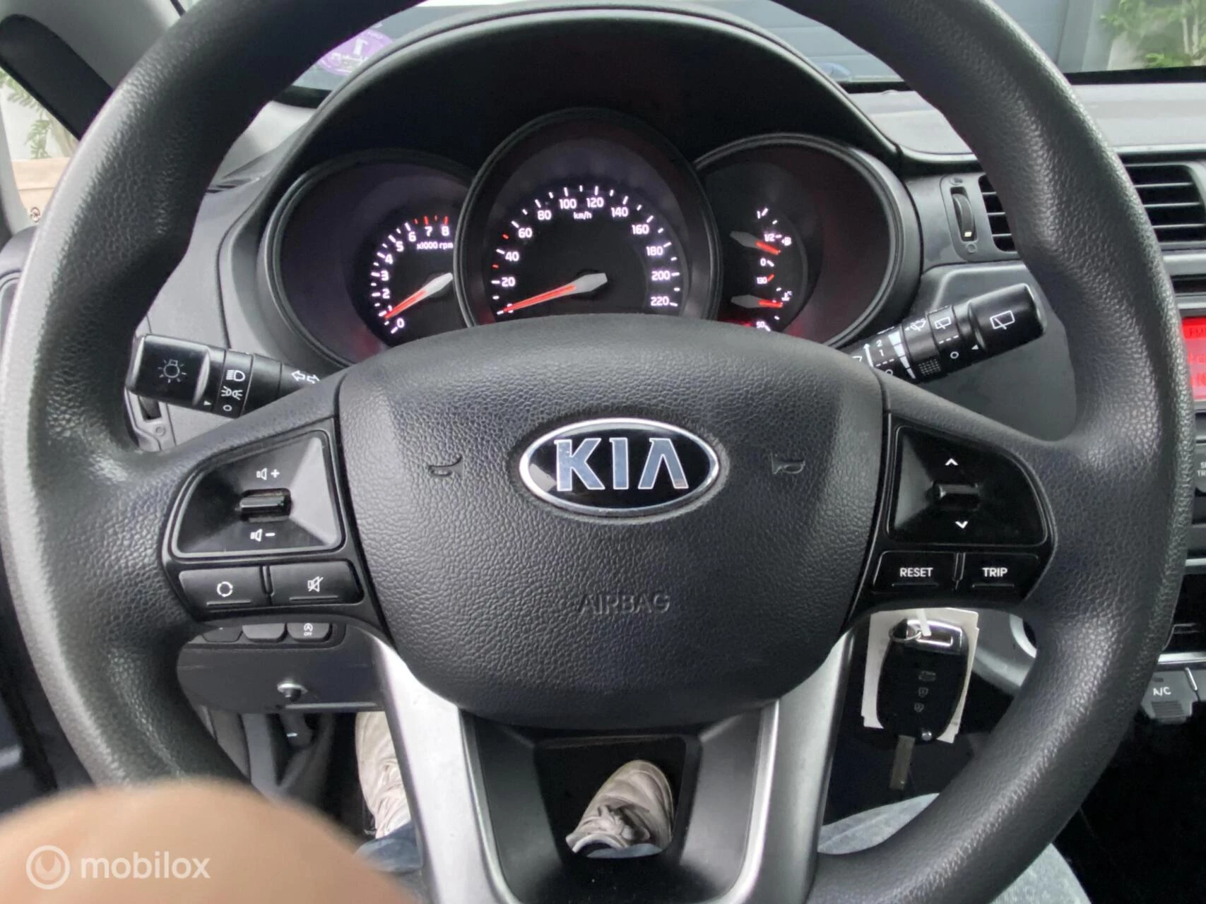 Hoofdafbeelding Kia Rio