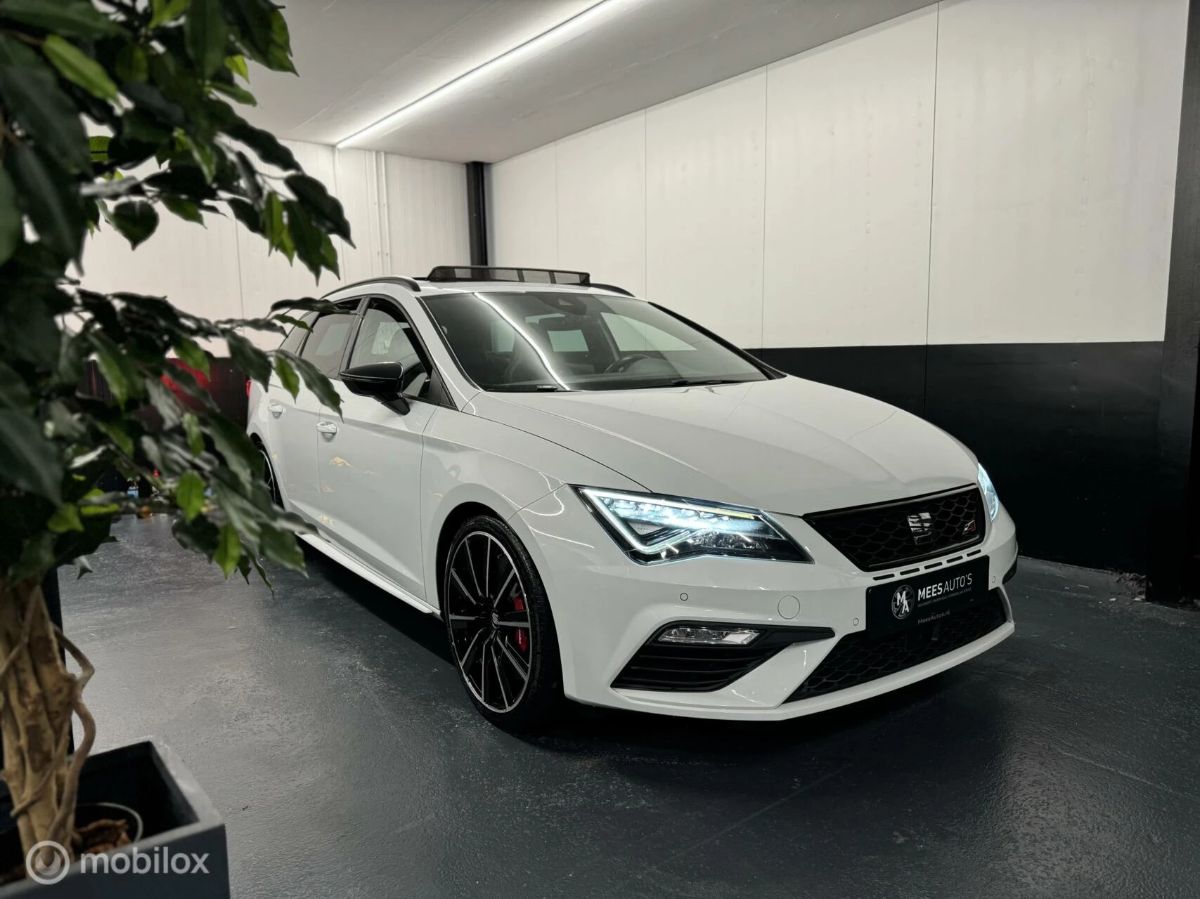 Hoofdafbeelding SEAT Leon