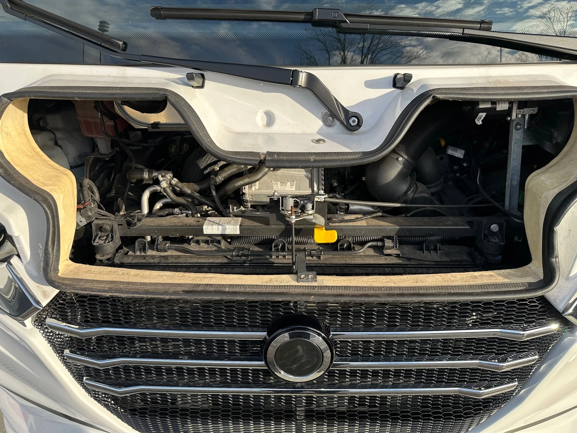 Hoofdafbeelding Knaus I 650