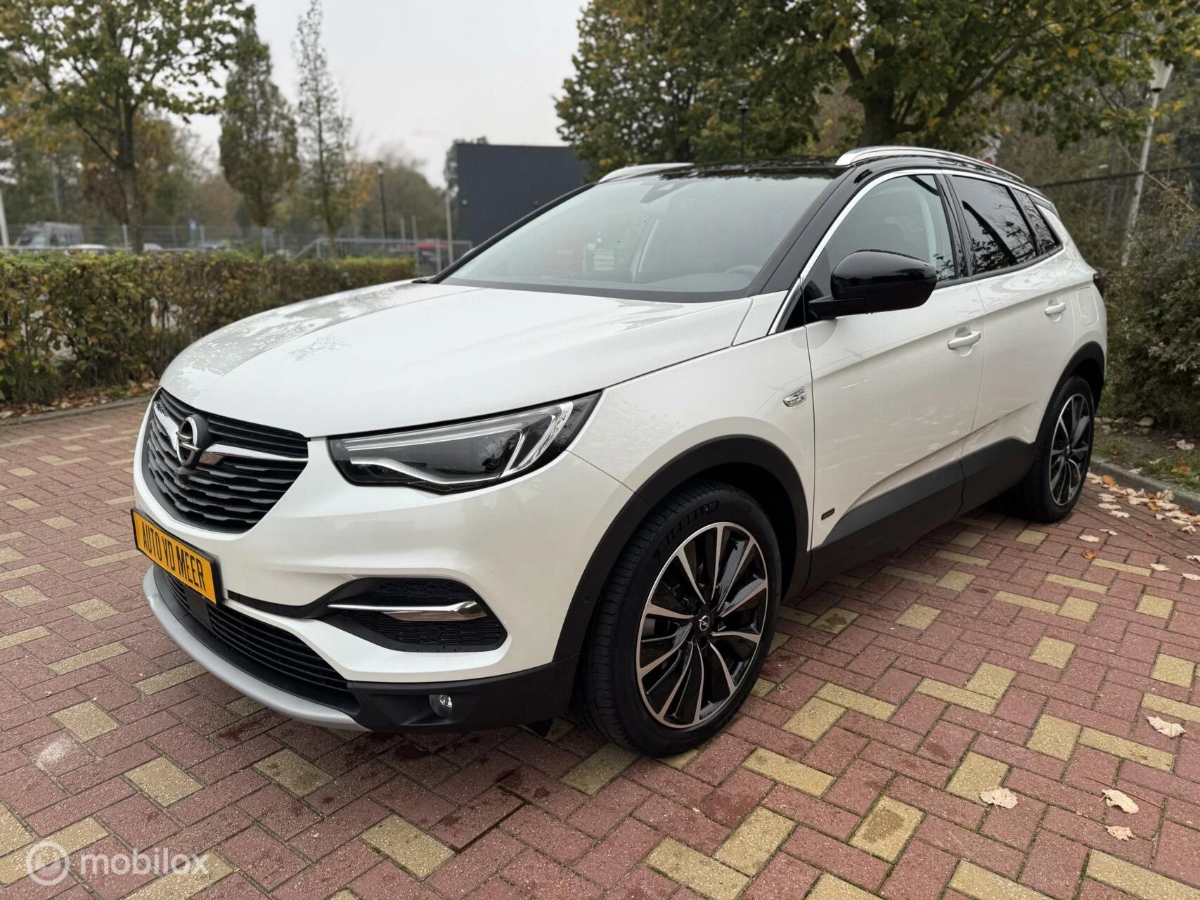 Hoofdafbeelding Opel Grandland X