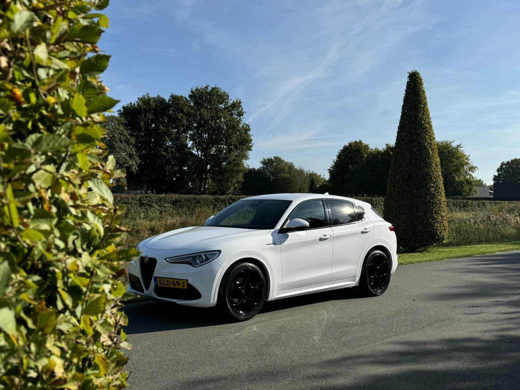 Hoofdafbeelding Alfa Romeo Stelvio