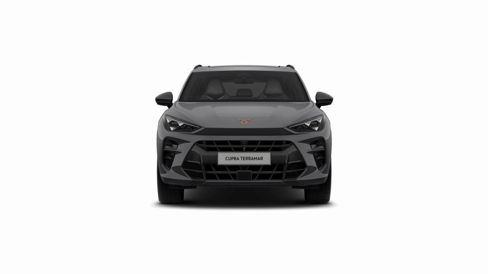 Hoofdafbeelding CUPRA Terramar