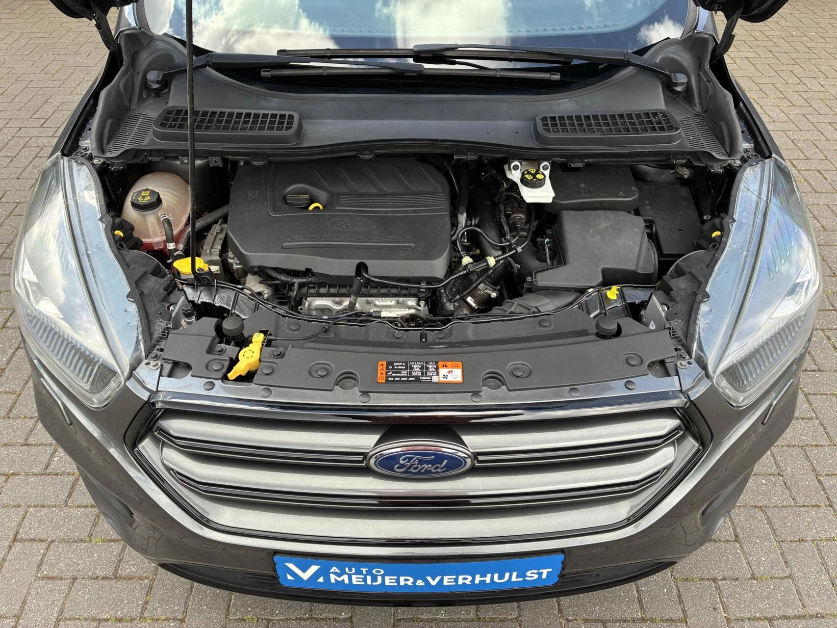Hoofdafbeelding Ford Kuga