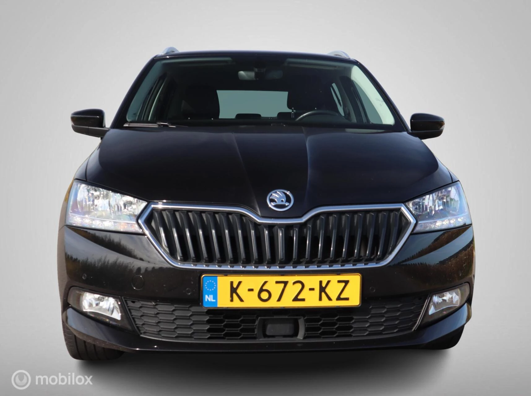 Hoofdafbeelding Škoda Fabia