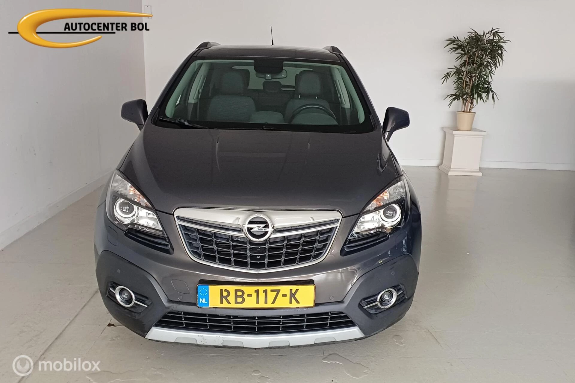Hoofdafbeelding Opel Mokka