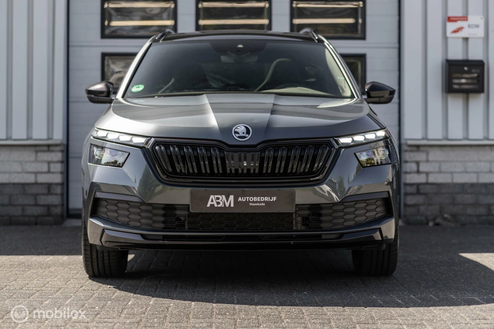 Hoofdafbeelding Škoda Kamiq