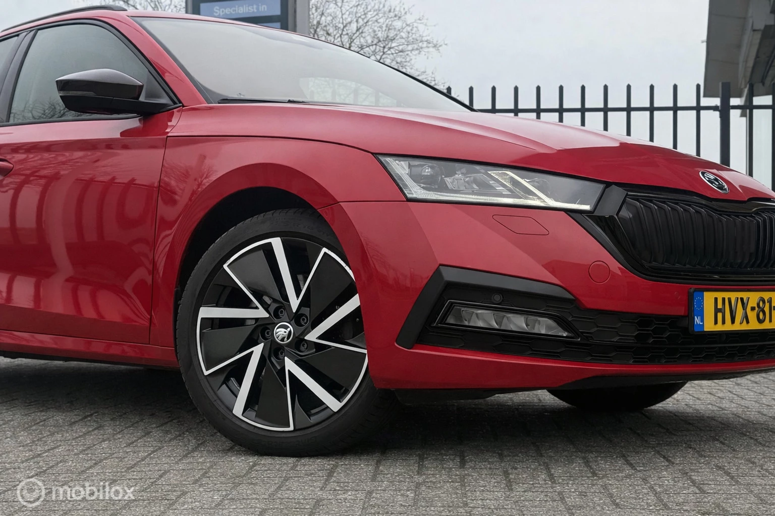 Hoofdafbeelding Škoda Octavia