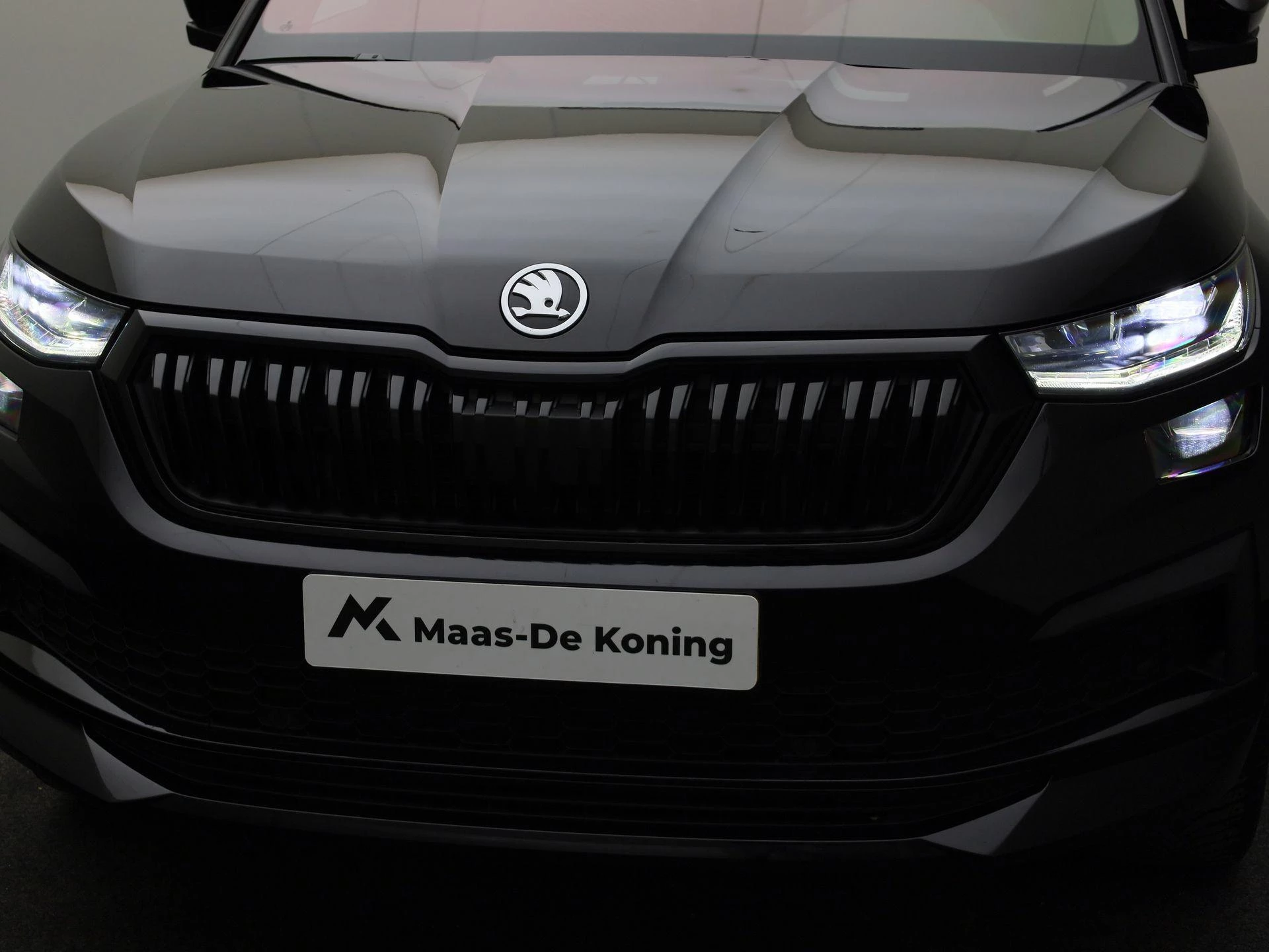 Hoofdafbeelding Škoda Kodiaq