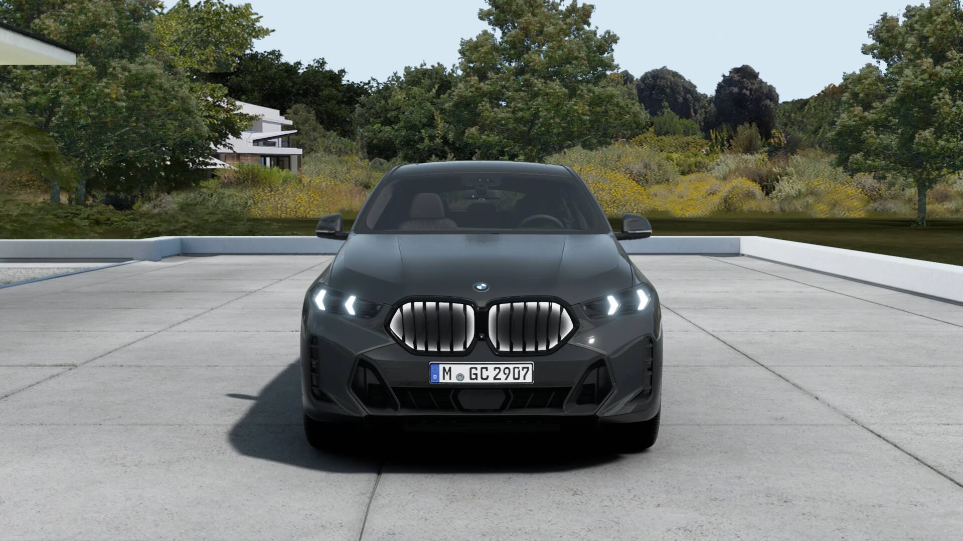 Hoofdafbeelding BMW X6