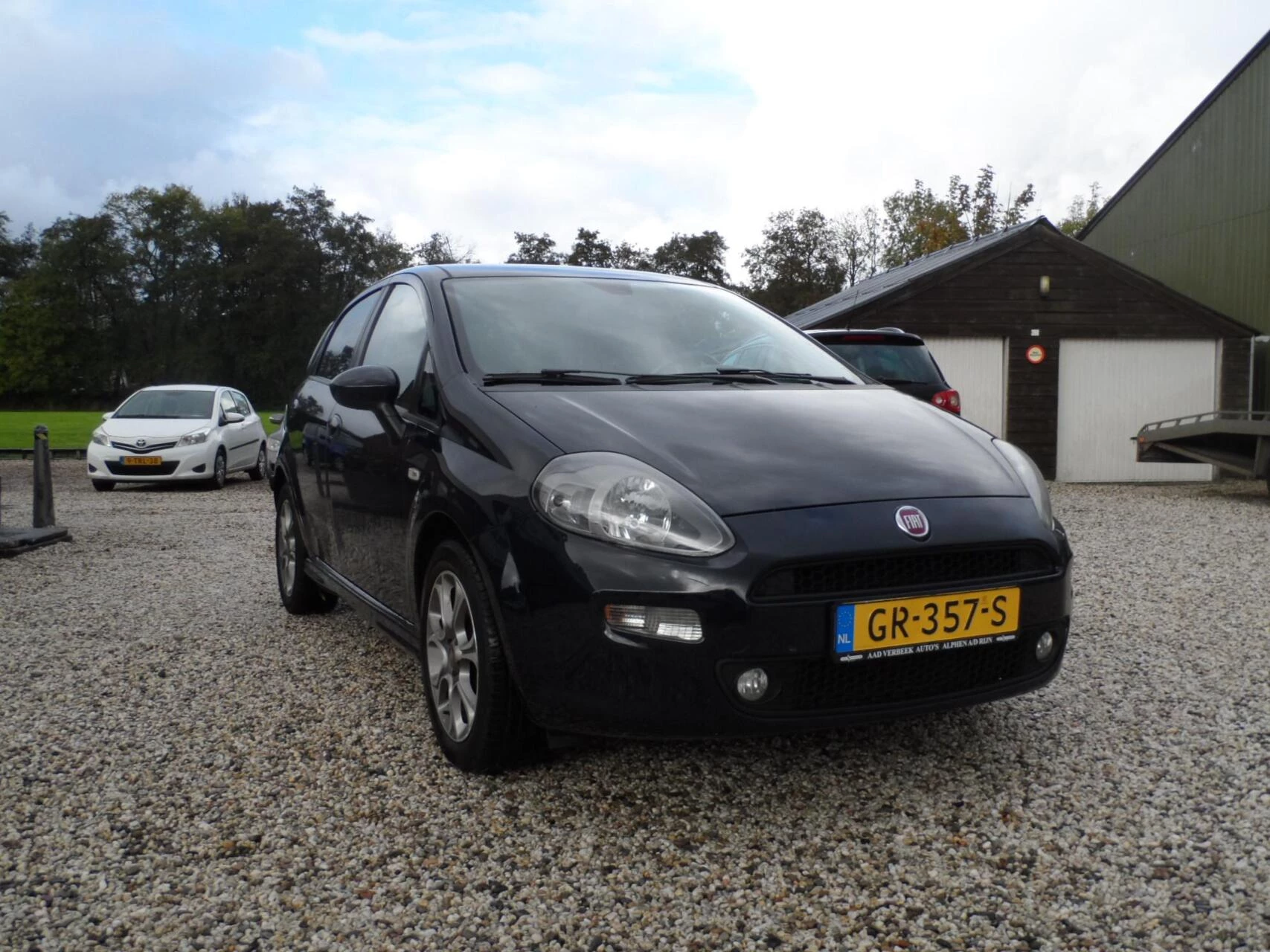 Hoofdafbeelding Fiat Punto