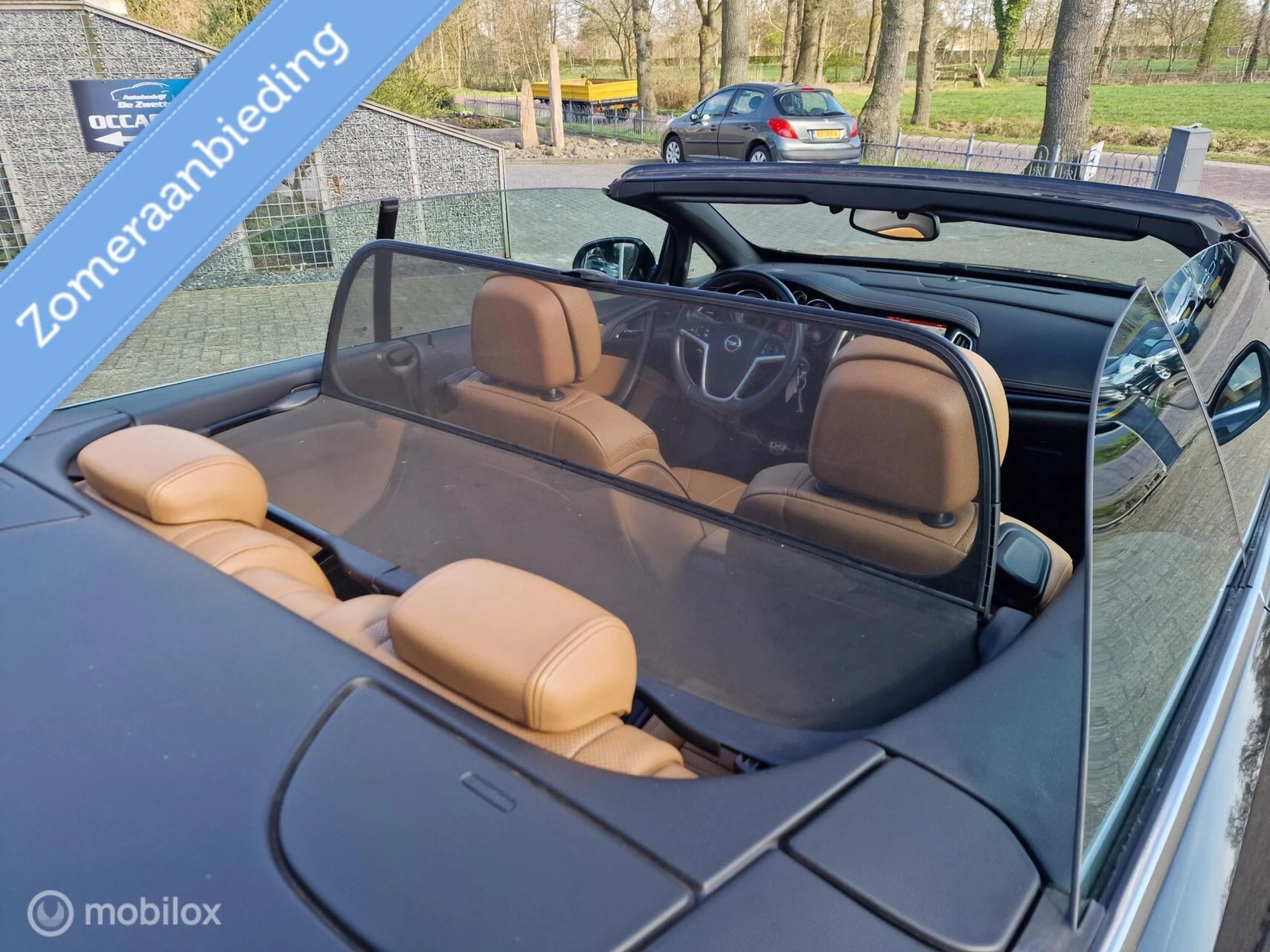 Hoofdafbeelding Opel Cascada