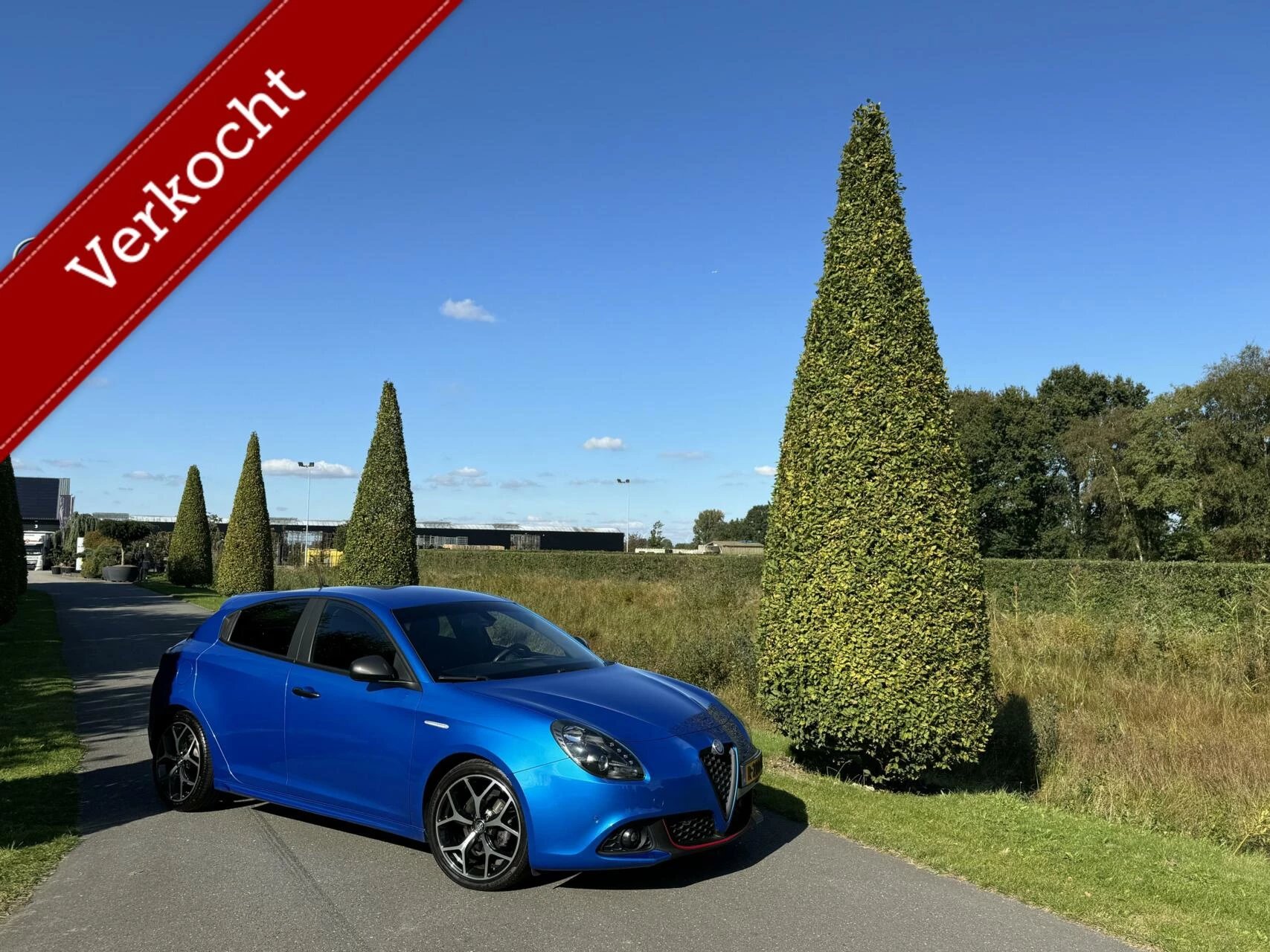 Hoofdafbeelding Alfa Romeo Giulietta