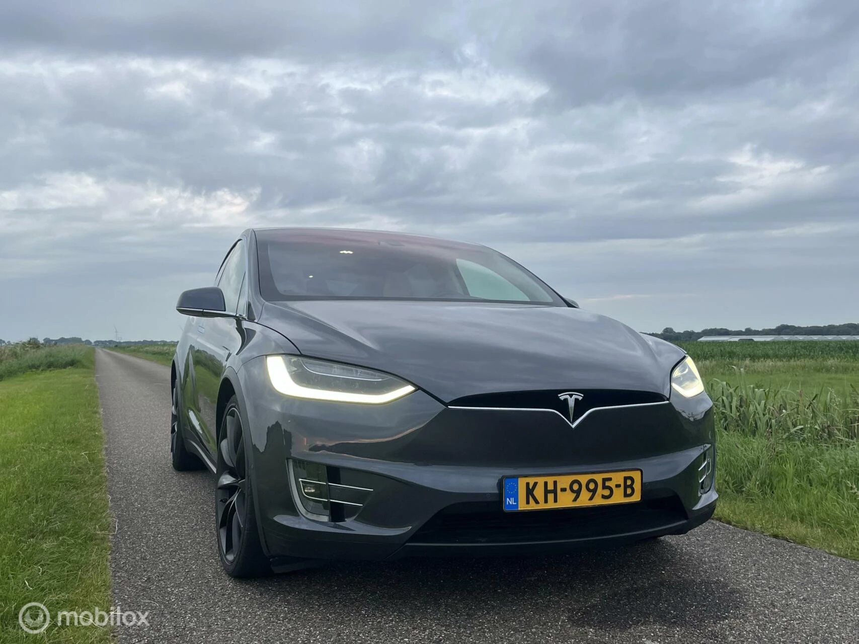 Hoofdafbeelding Tesla Model X