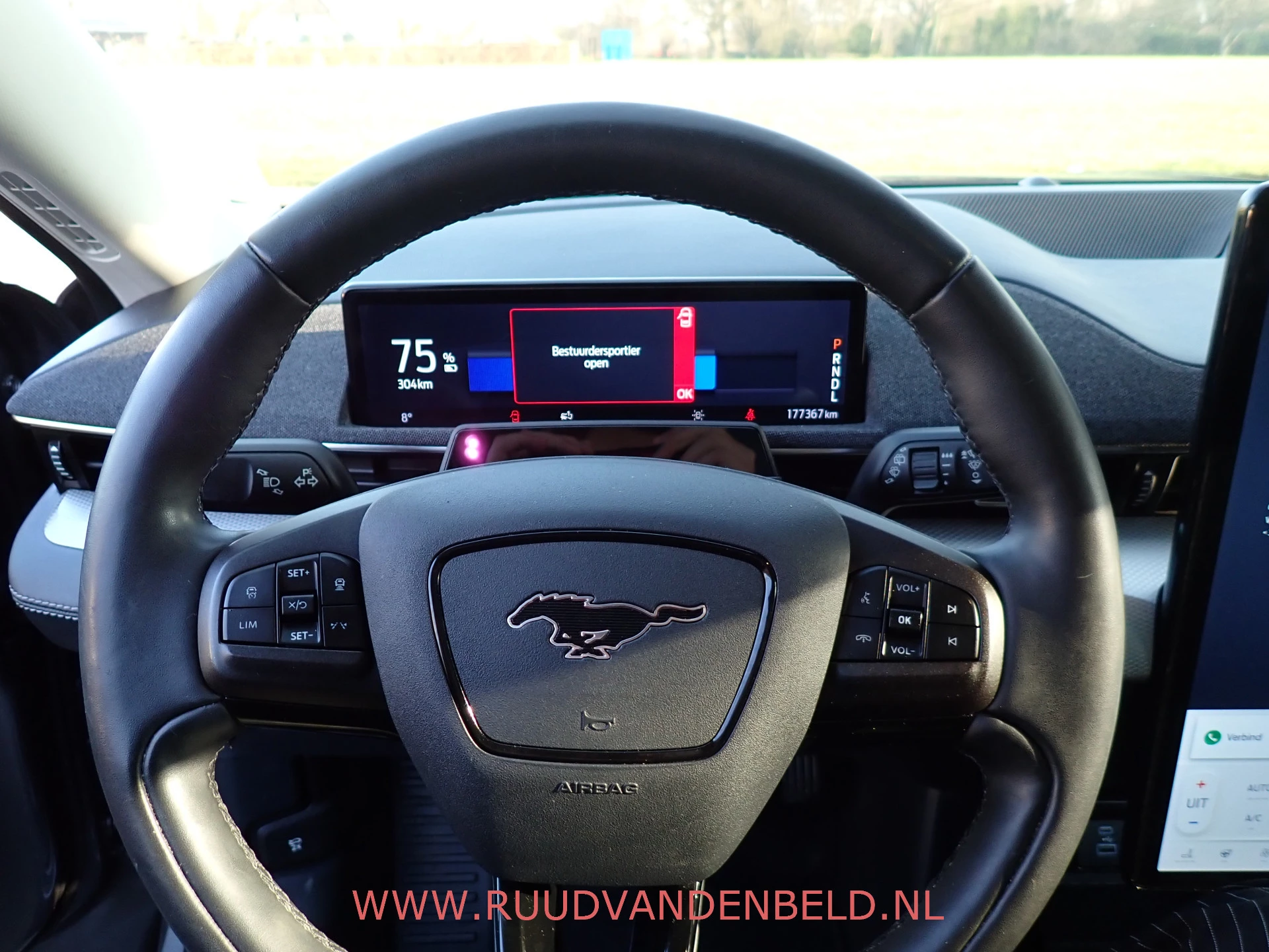 Hoofdafbeelding Ford Mustang Mach-E