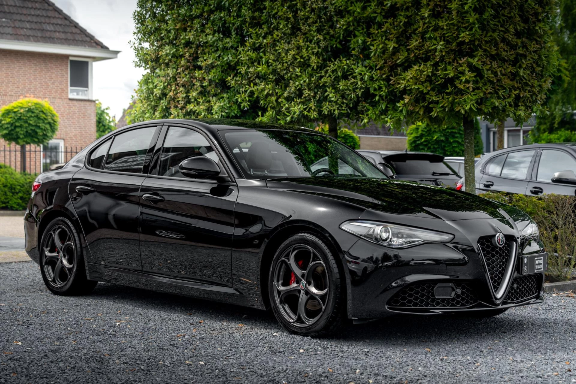 Hoofdafbeelding Alfa Romeo Giulia