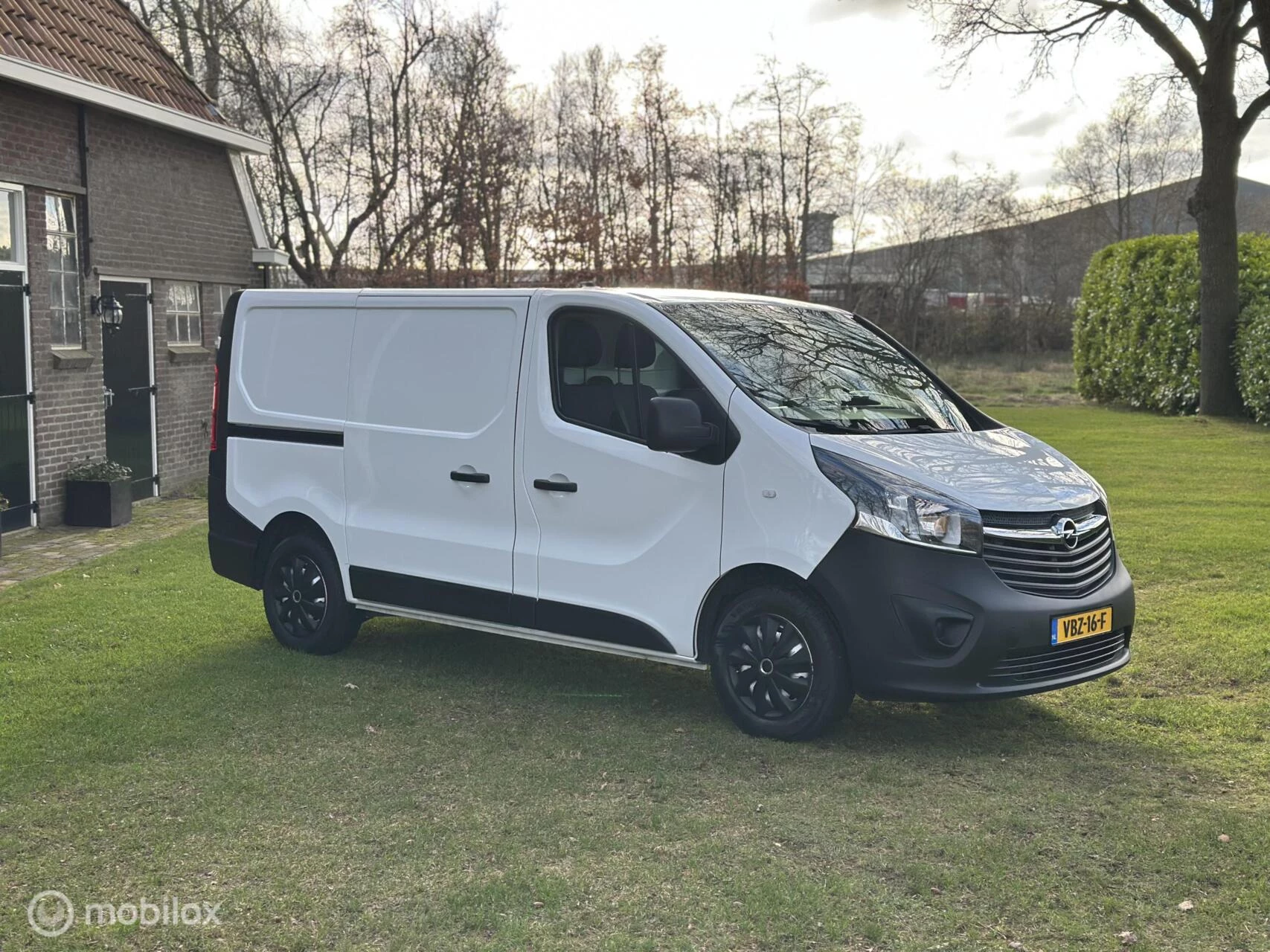 Hoofdafbeelding Opel Vivaro