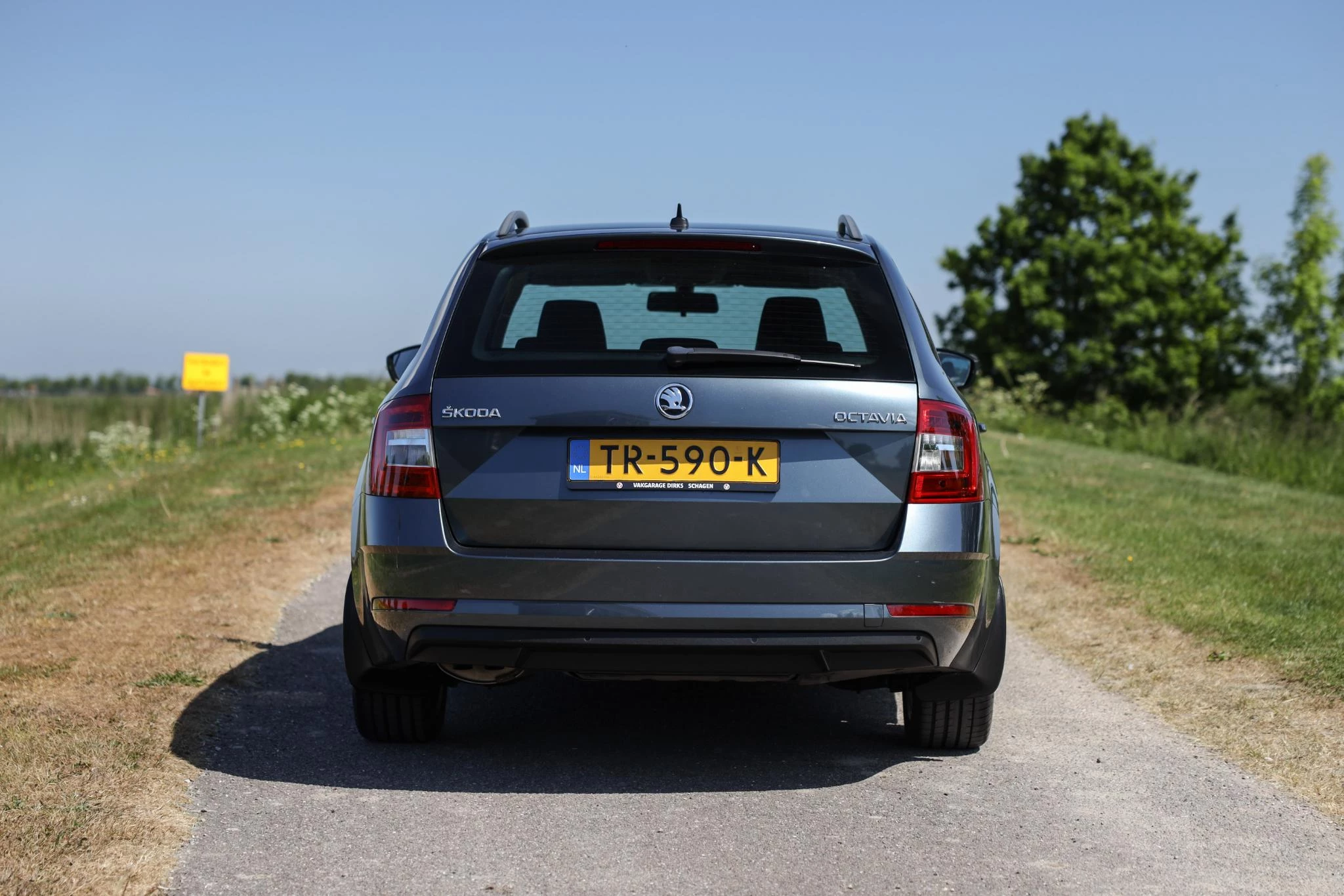 Hoofdafbeelding Škoda Octavia
