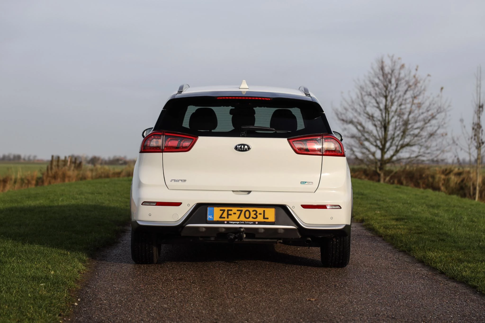 Hoofdafbeelding Kia Niro