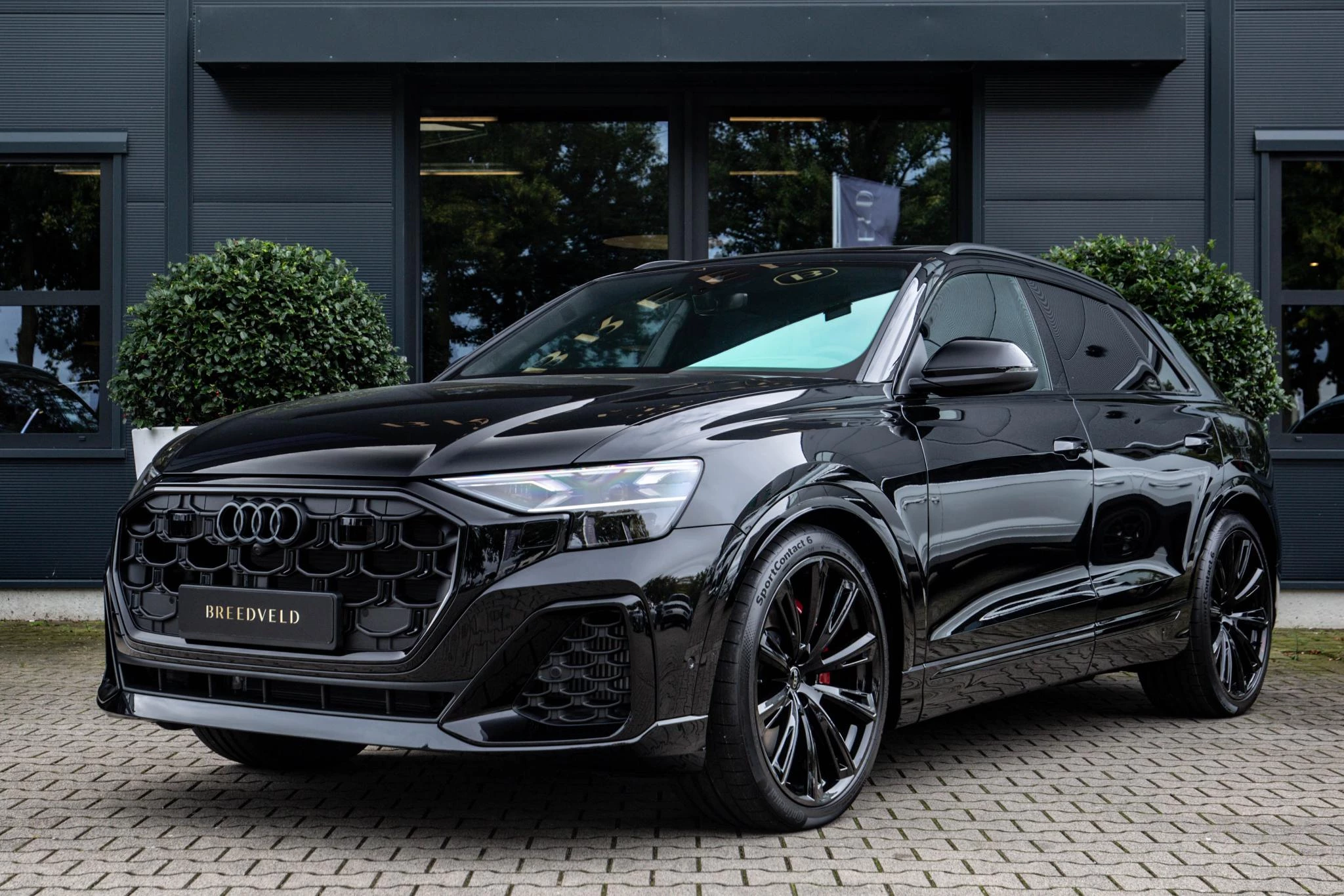 Hoofdafbeelding Audi Q8
