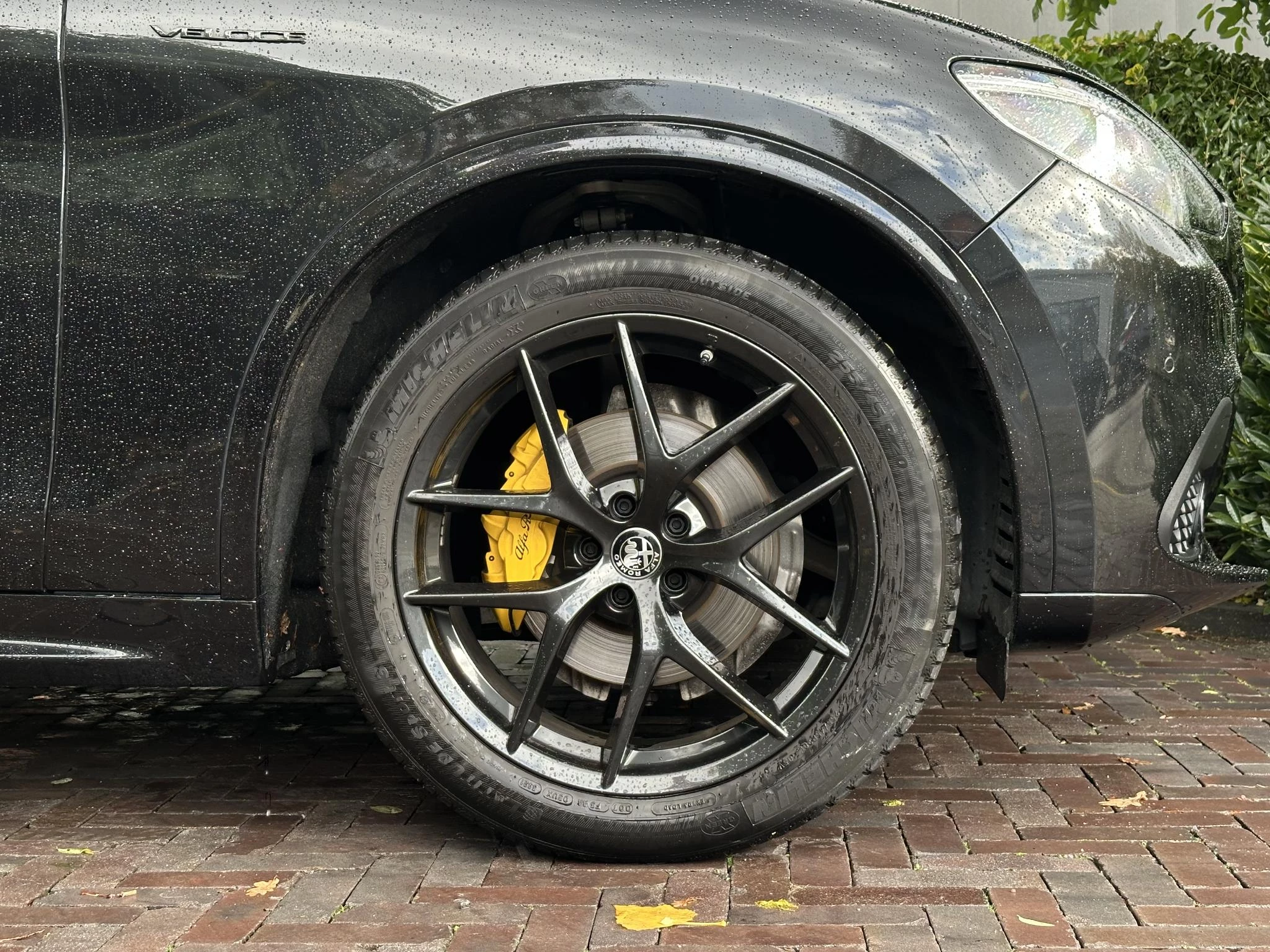 Hoofdafbeelding Alfa Romeo Stelvio