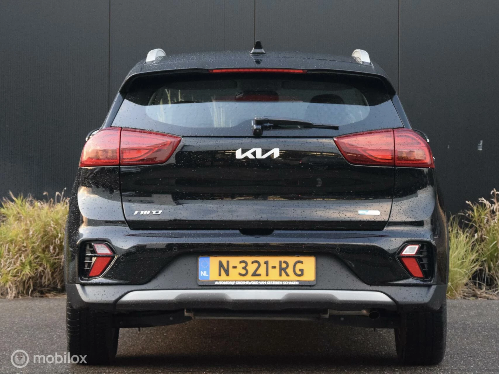 Hoofdafbeelding Kia Niro