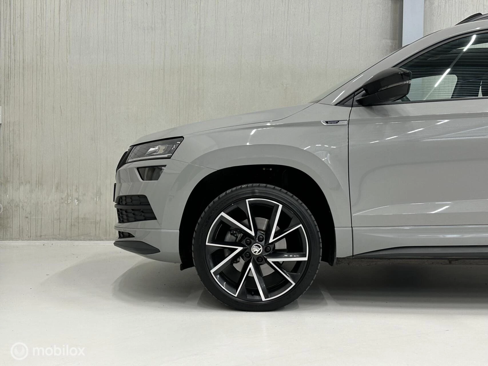 Hoofdafbeelding Škoda Karoq