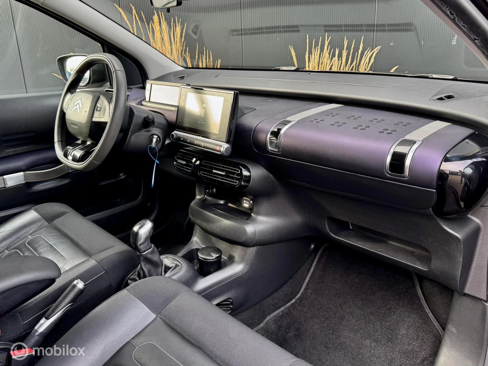 Hoofdafbeelding Citroën C4 Cactus