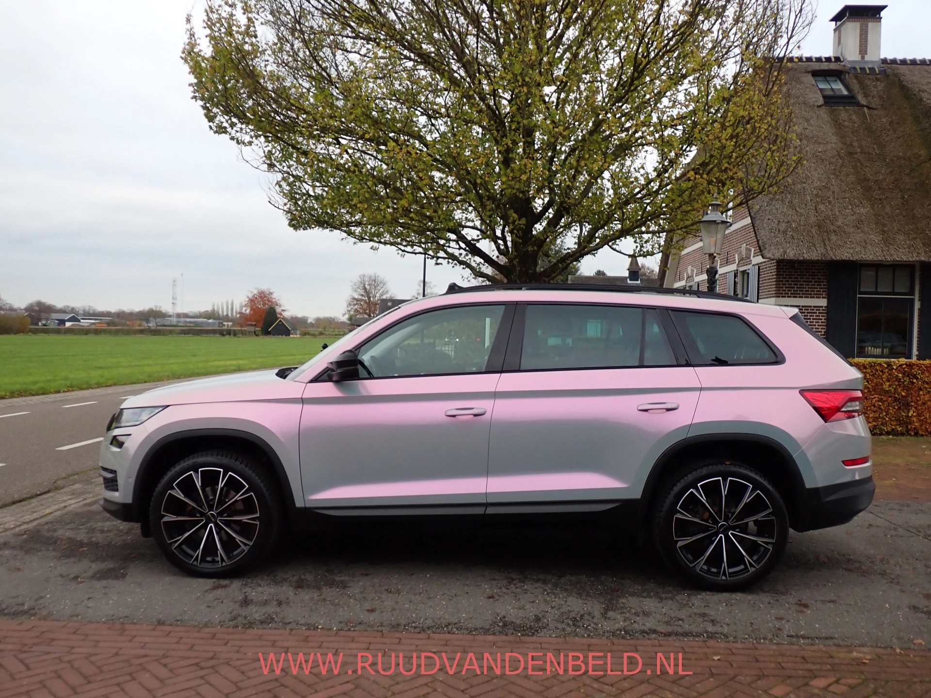 Hoofdafbeelding Škoda Kodiaq