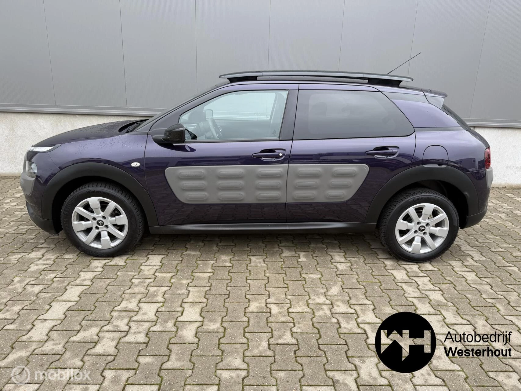 Hoofdafbeelding Citroën C4 Cactus