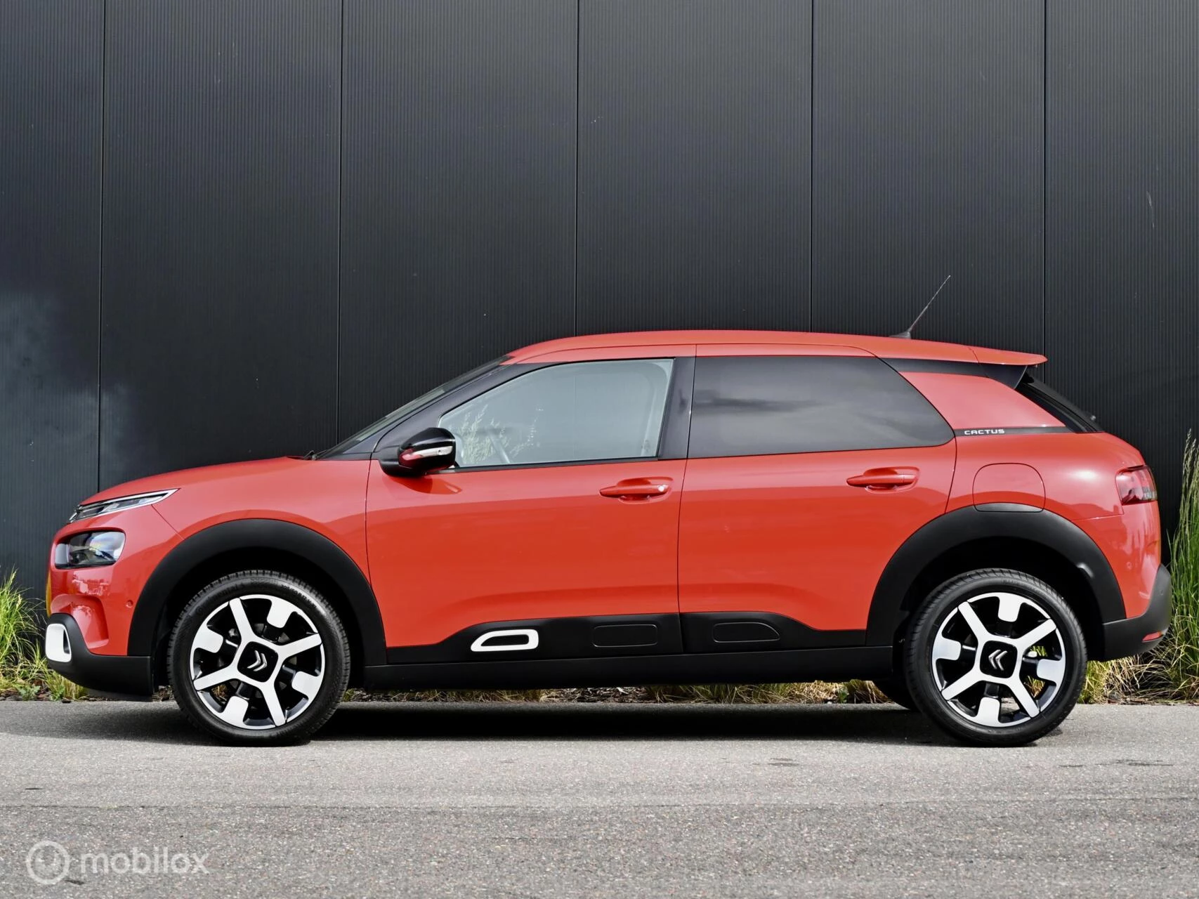 Hoofdafbeelding Citroën C4 Cactus