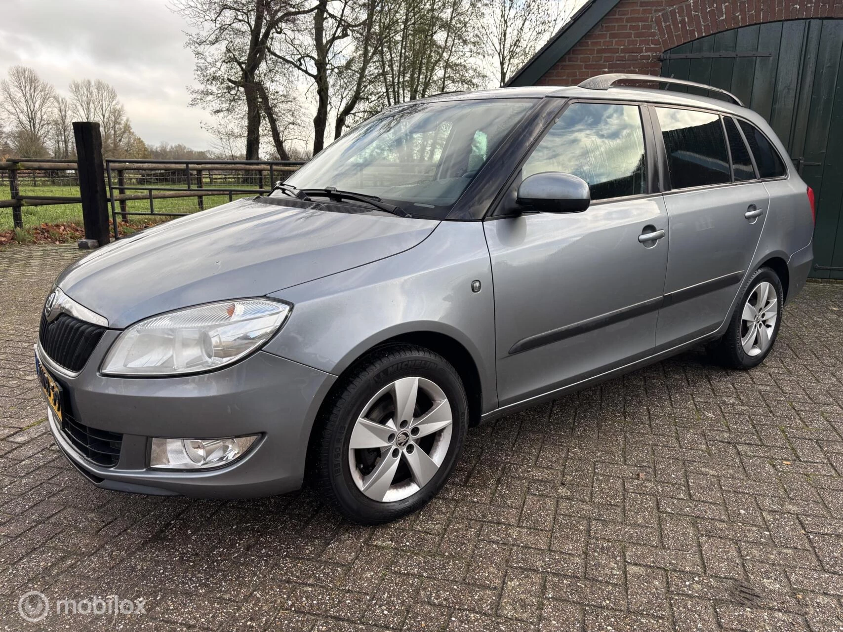 Hoofdafbeelding Škoda Fabia